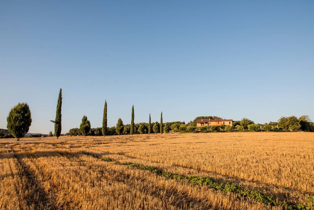 Agriturismo Il Tiro Castel del Piano  Kültér fotó