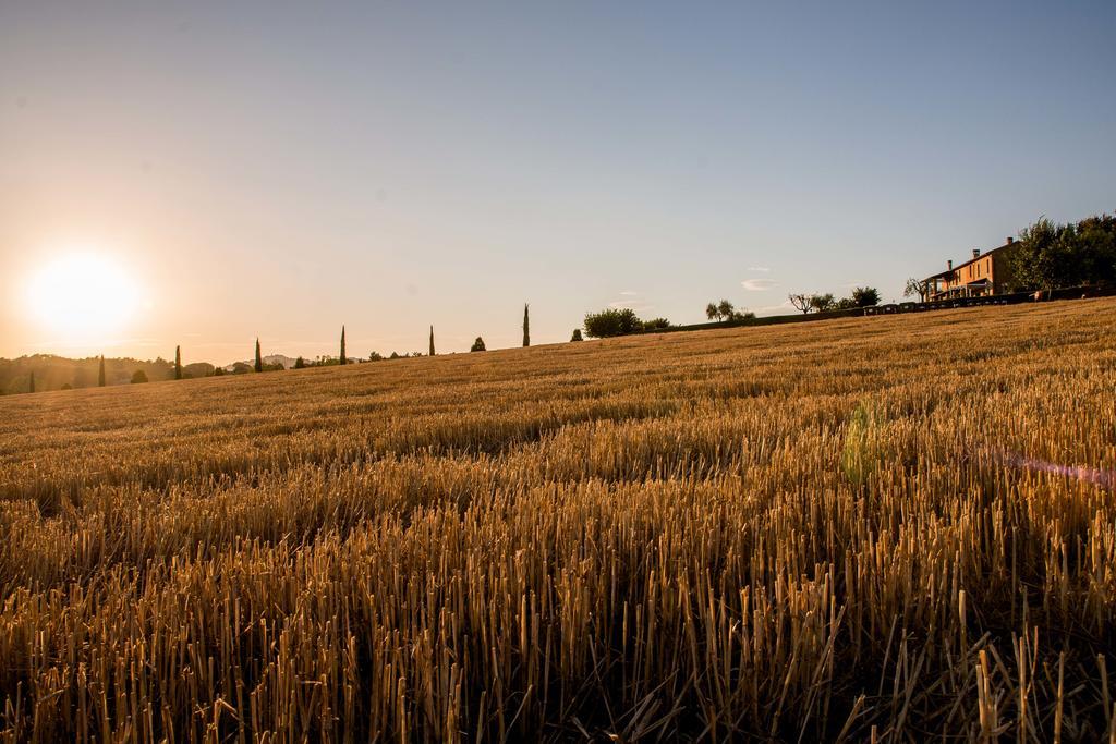 Agriturismo Il Tiro Castel del Piano  Kültér fotó
